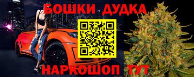дмт Будённовск