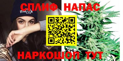 дмт Будённовск