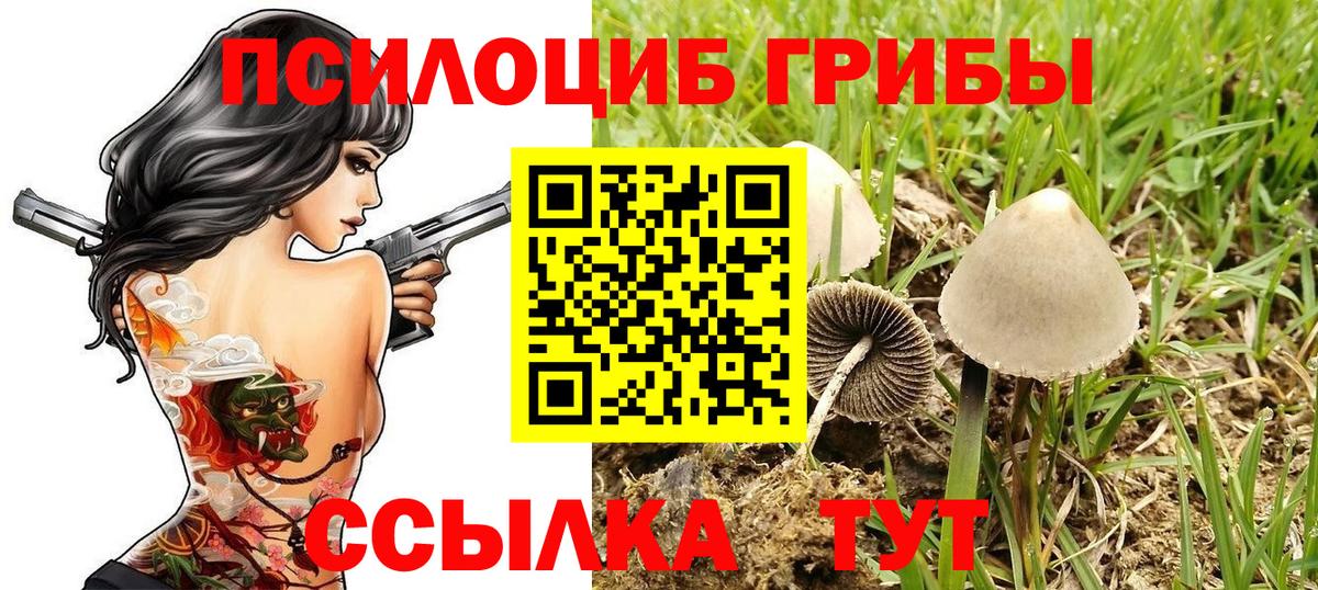 Псилоцибиновые грибы ЛСД Коркино