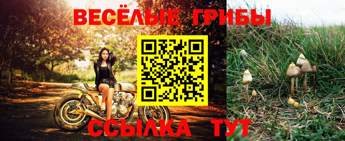 Галлюциногенные грибы мухоморы  Вход с VPN  цена наркотик  Коркино  Псилоцибиновые грибы прущие грибы 
